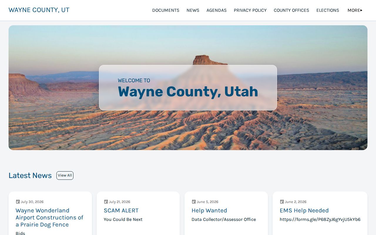 Wayne County criminal records government source